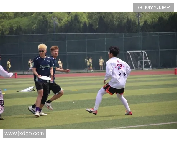 飞盘战术与团队协作：杭州飞盘队的成功运营模式探析MBA